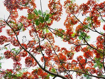 Bungie新作取消开发将继续支持《命运2》